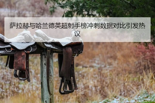 萨拉赫与哈兰德英超射手榜冲刺数据对比引发热议